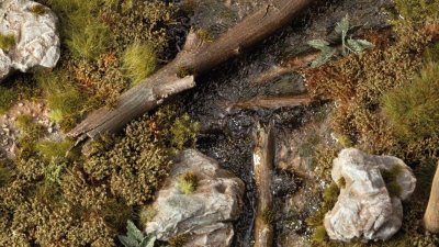 Zoom bild av Swamp Shrubs GamersGrass