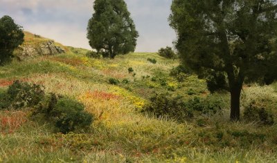 Zoom bild av Flowers in 4 Colors