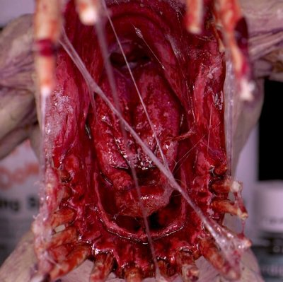 Snot Effect Dirty Down