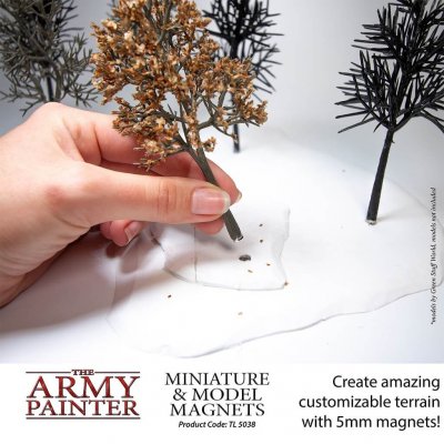 Zoom bild av Miniature & Model Magnets