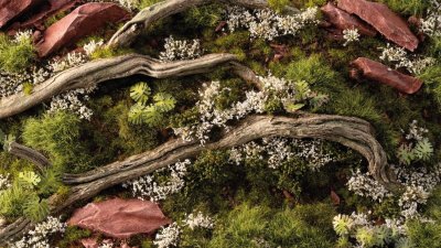 Zoom bild av White Rose Flowers GamersGrass